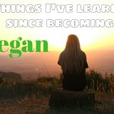 5 things I’ve learnt since going vegan. The good and bad